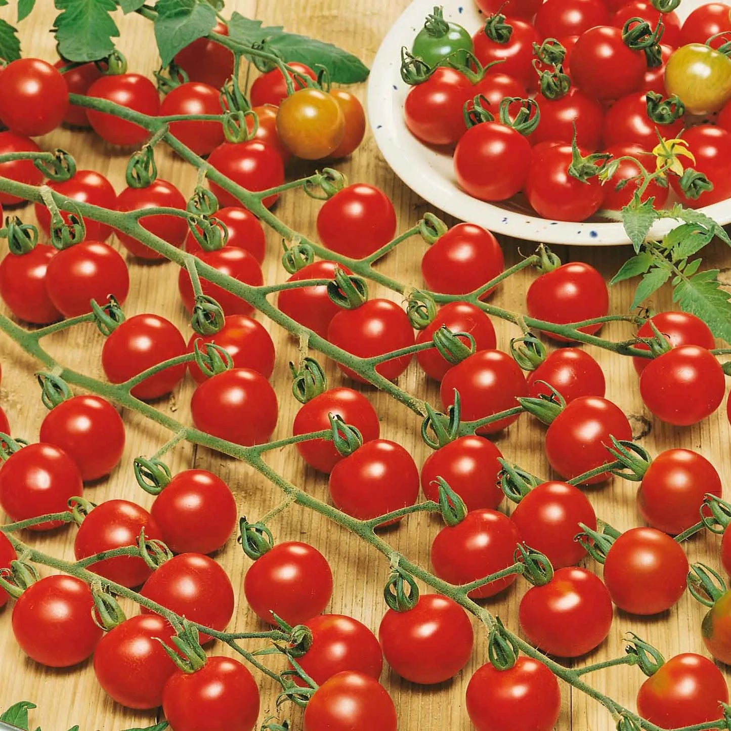 Waterfalls Cherry Tomato