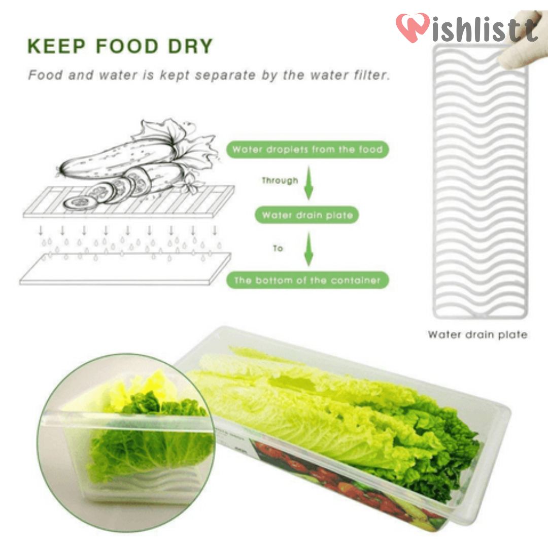 Food Saver Box