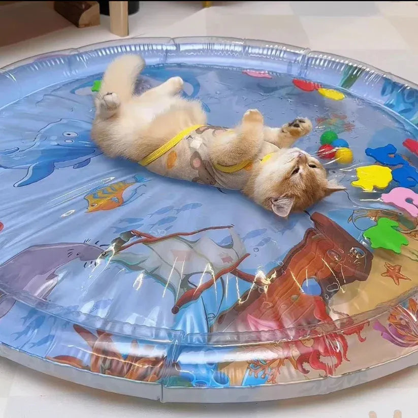 Pet Water Sensory Play Mat