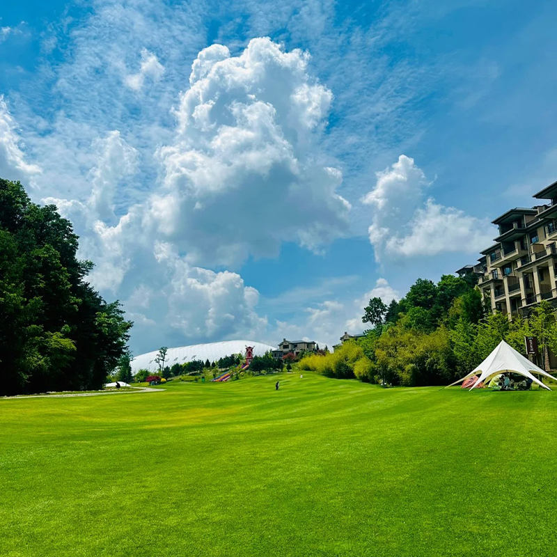 Evergreen Grass Seeds
