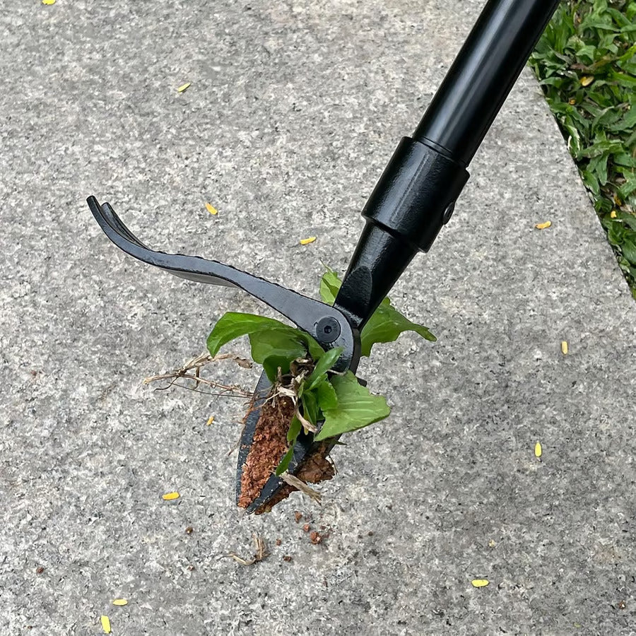 Stand Up Weed Puller