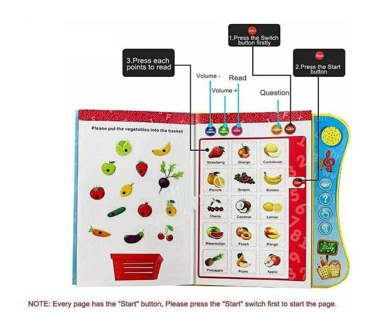 Intelligence Study Book