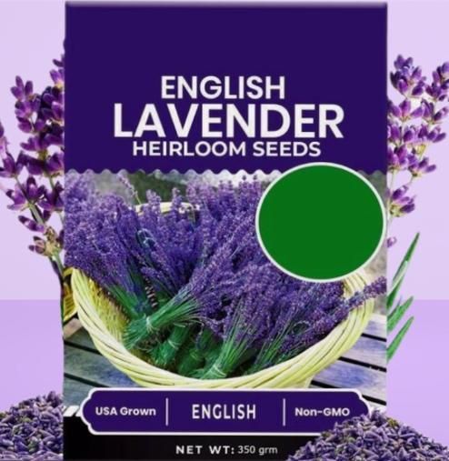 Premium Lavender Seeds