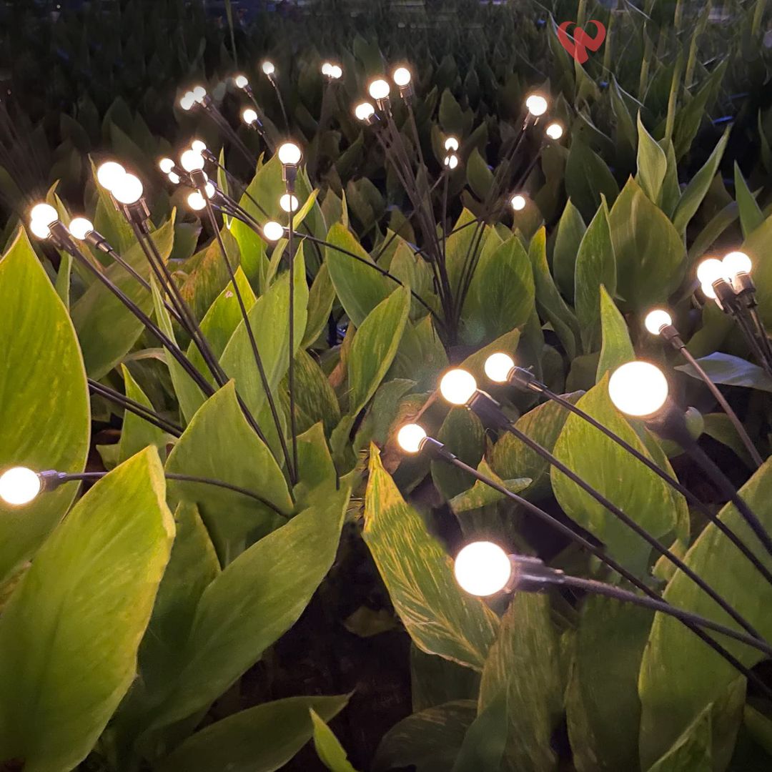 Solar Firefly Light