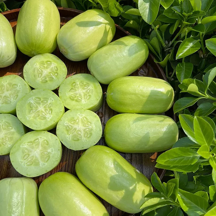 Thumb Cucumber - Jade Lady Cucumber Seeds + Plant Growth Supplement Free