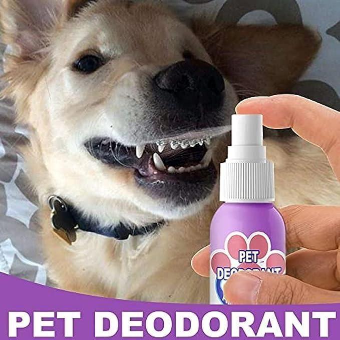 Pets Teeth Cleaning Spray