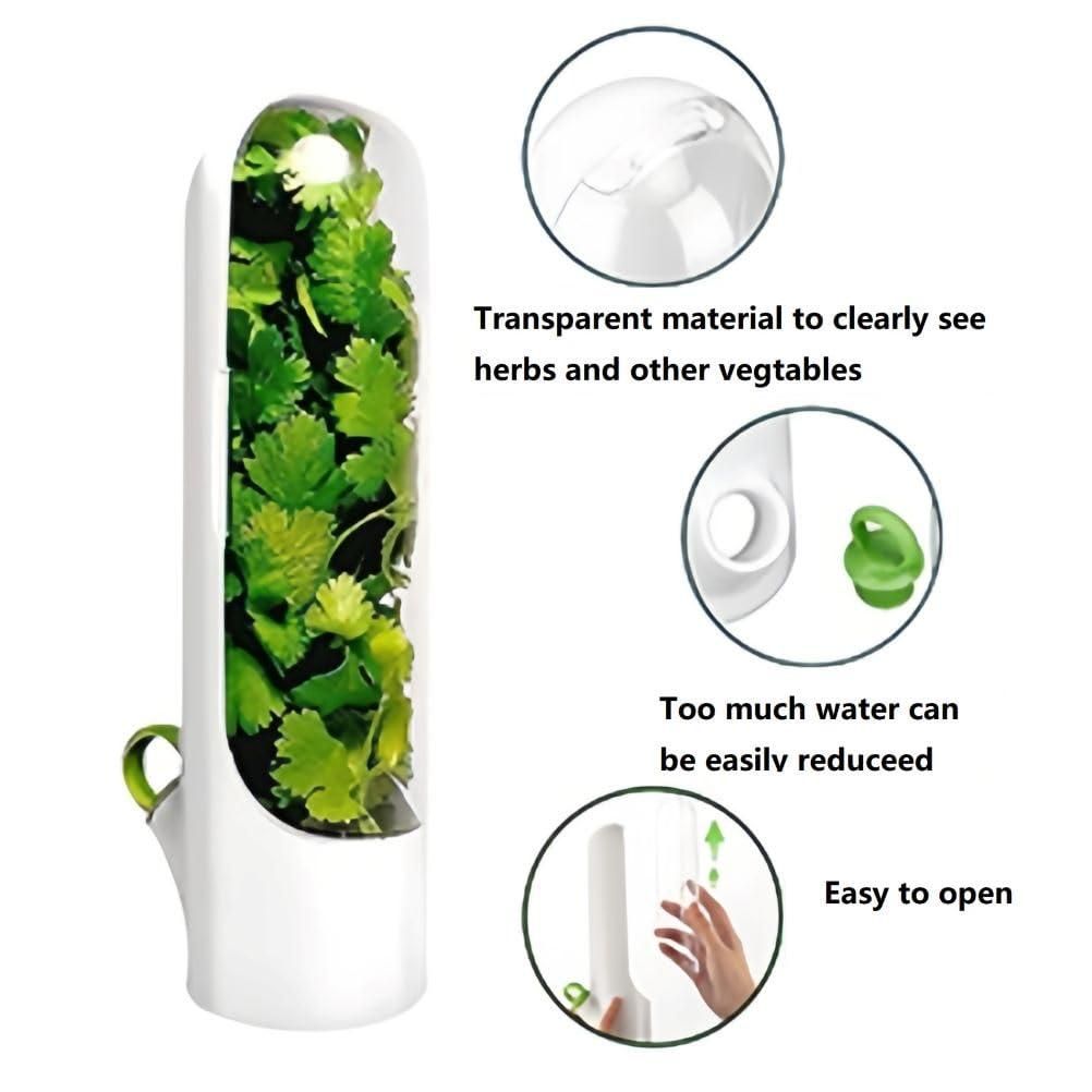 Vegetables Preservation Bottle