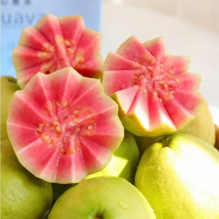 Organic Pink Guava Seeds