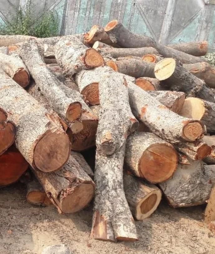 Herbal Purifier Jamun Wood