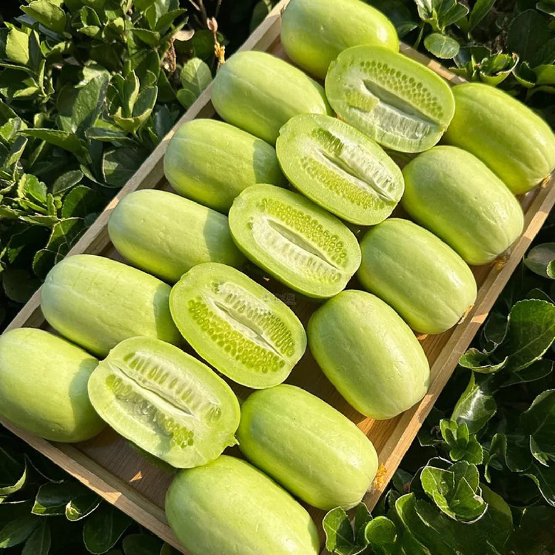 Thumb Cucumber - Jade Lady Cucumber Seeds + Plant Growth Supplement Free