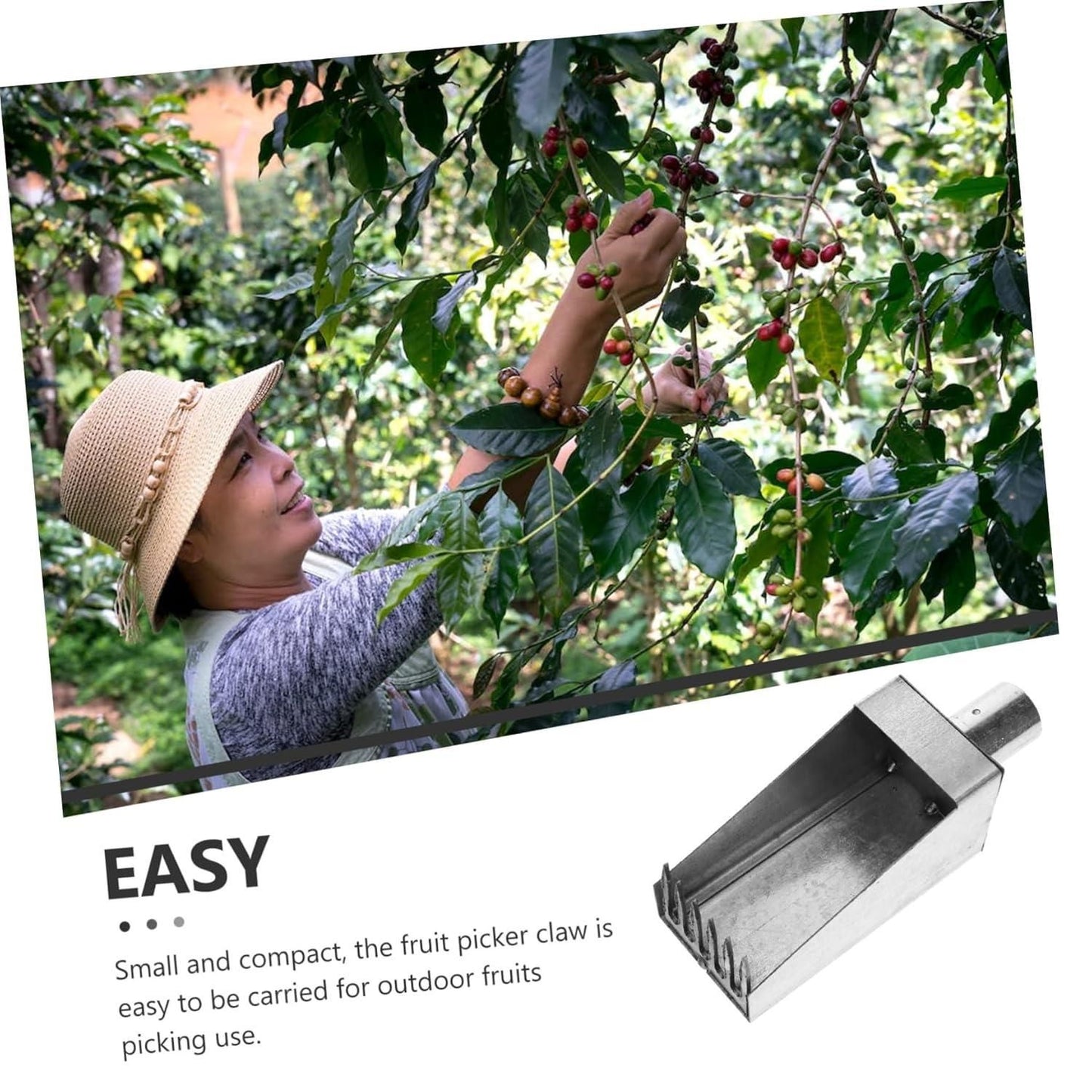 Stainless Steel Steel Fruit Picker Tool