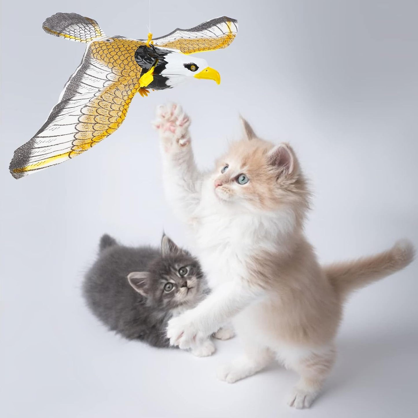 Flying Eagle Interactive Cat Toy