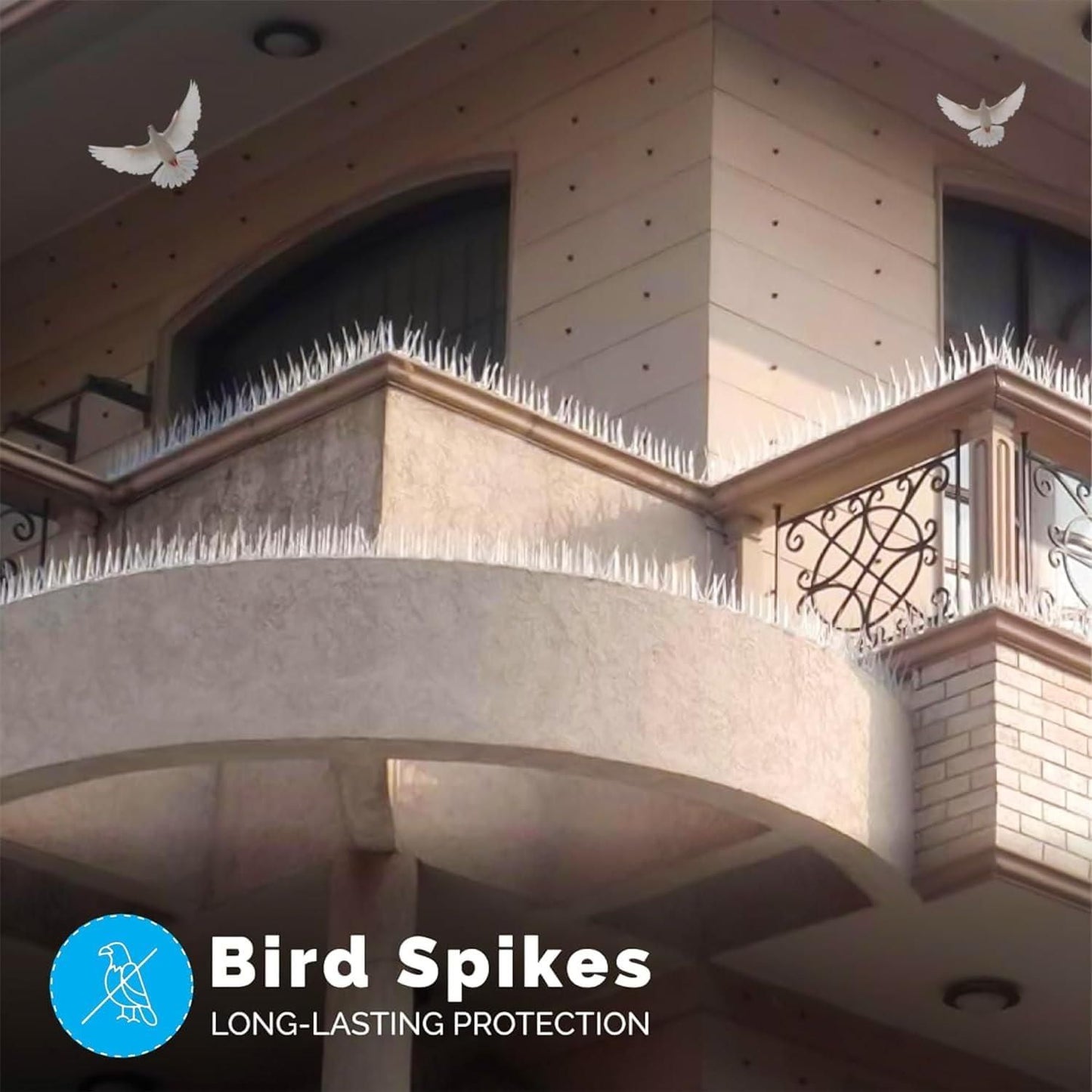 Bird Control Spikes (Set of 10)