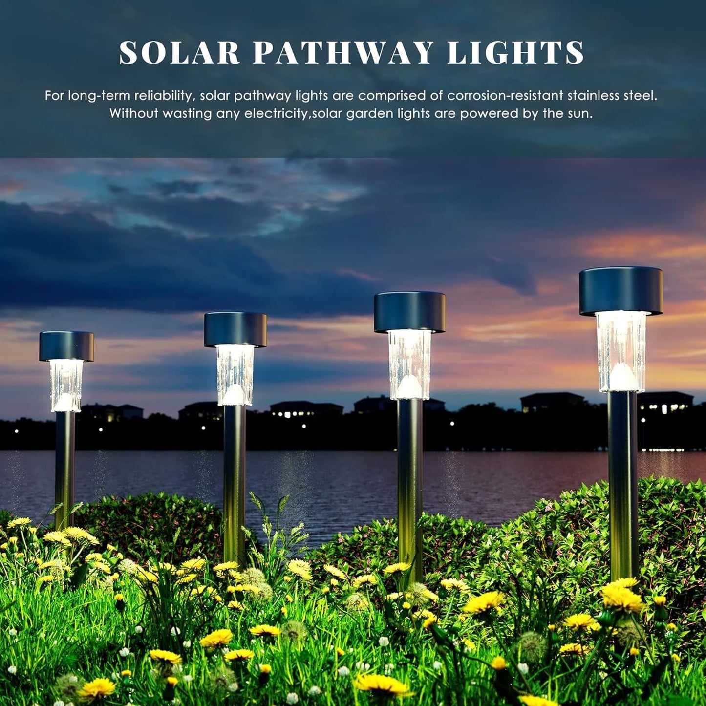 Solar Pathway Garden Lights