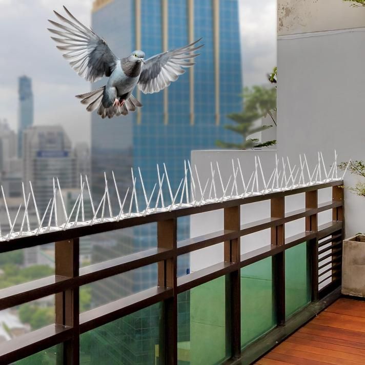 Bird Control Spikes (Set of 10)