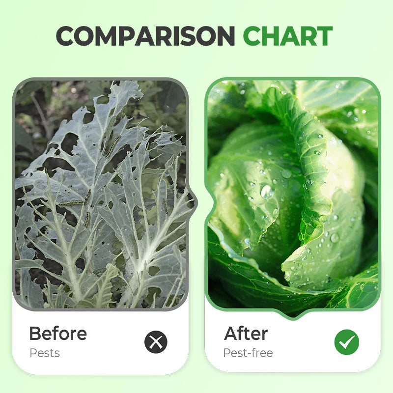 Powerful & Long-Lasting Crop Insecticide