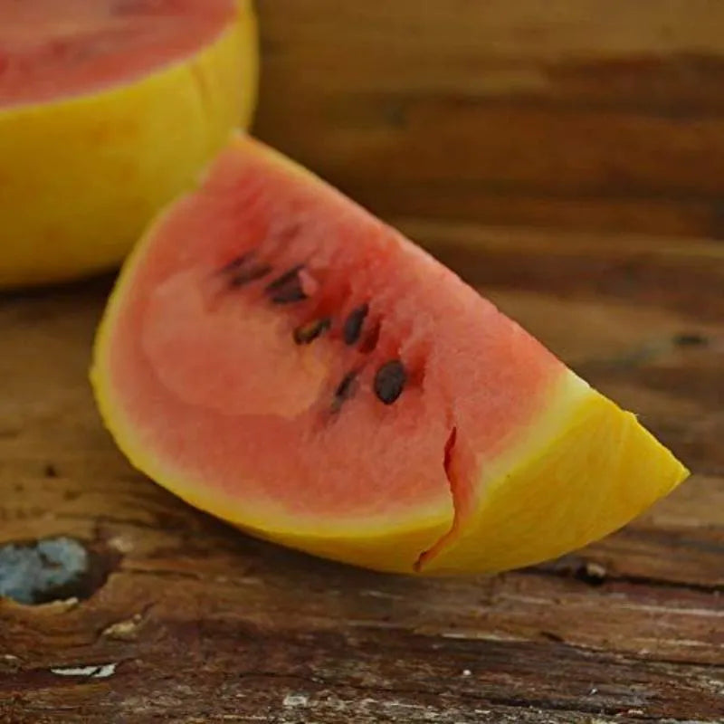 Golden Midget Watermelon Seed