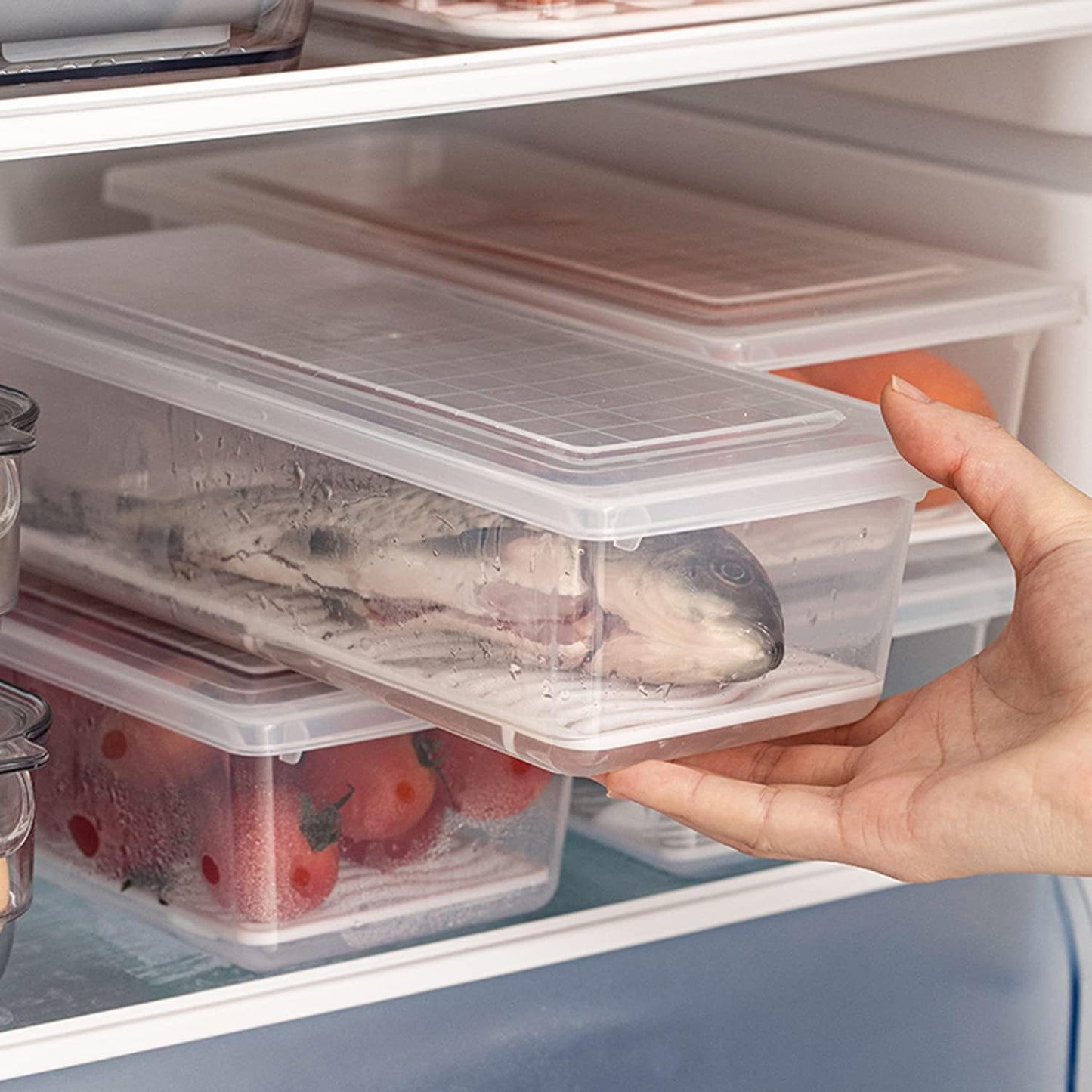 Fridge Storage Containers with Drain Plate