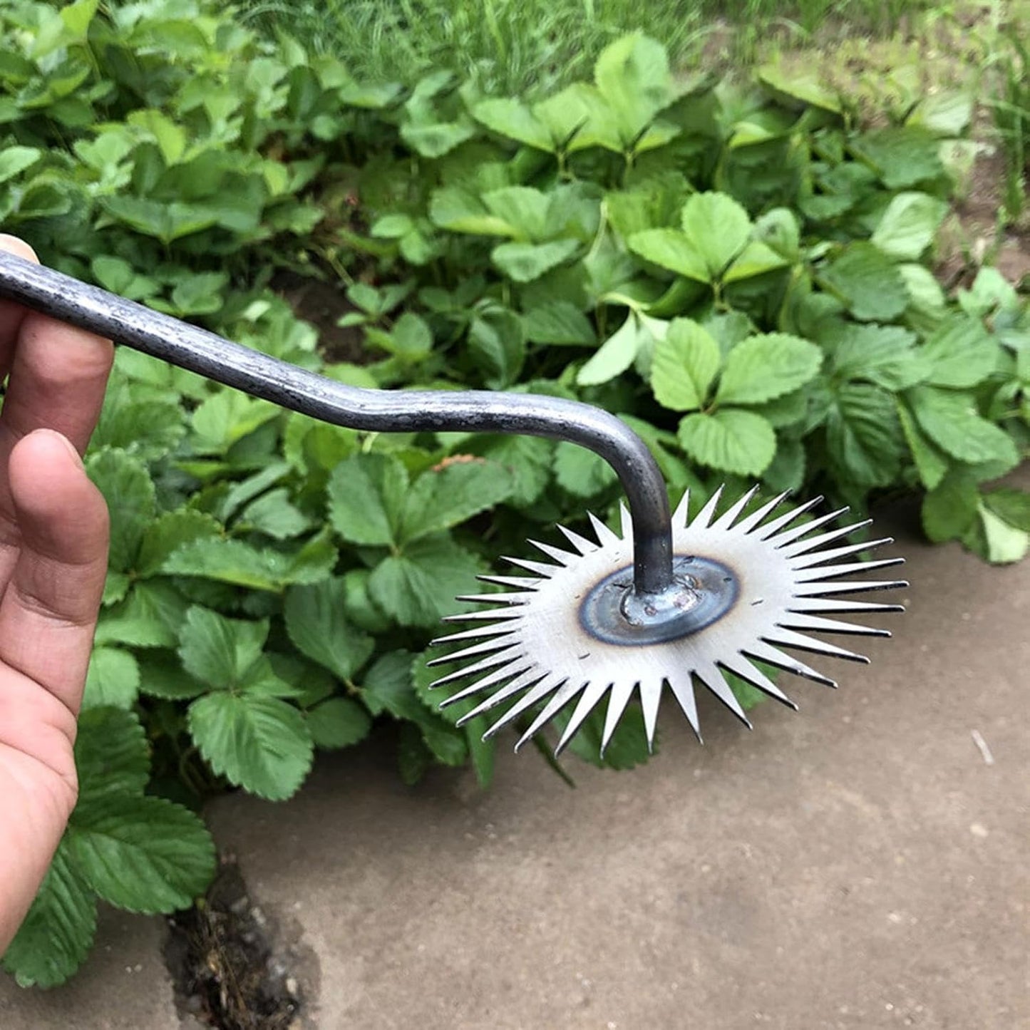 360° Hand Weeding Tool