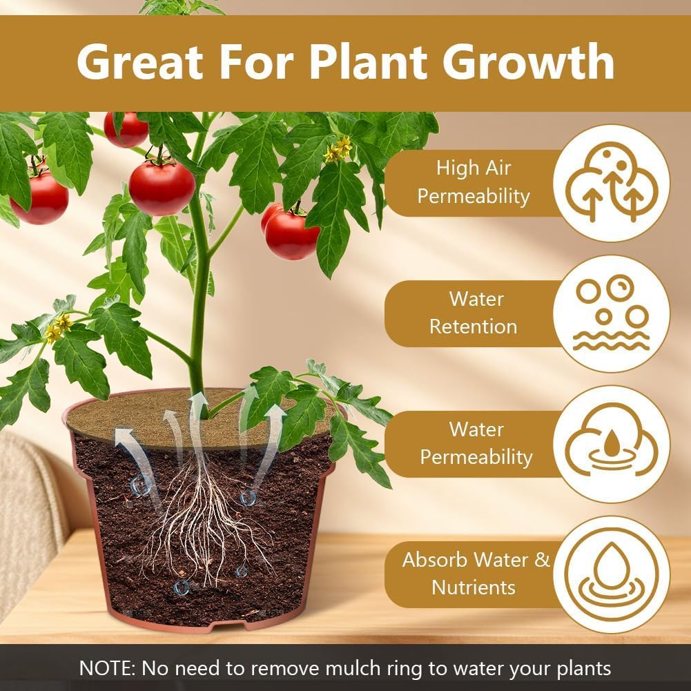 Coconut Fiber Plant Mat (Set of 6)