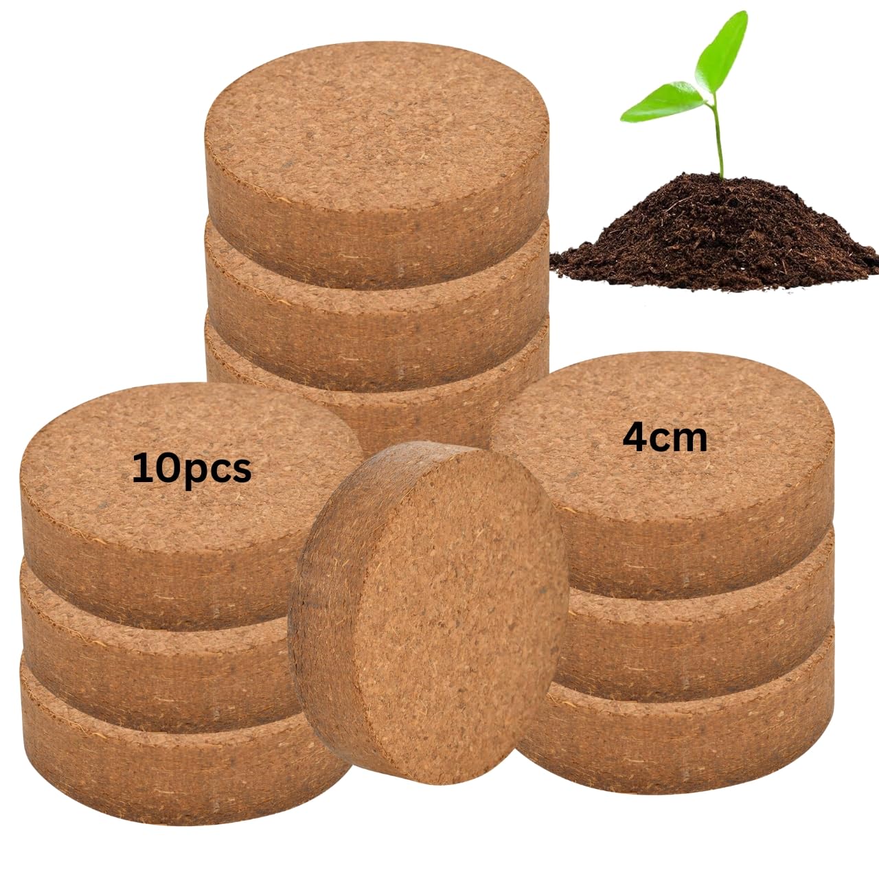 Seed Germination Cocopeat Coin