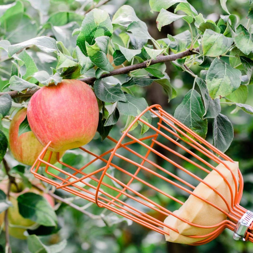 Fruit Catcher Basket