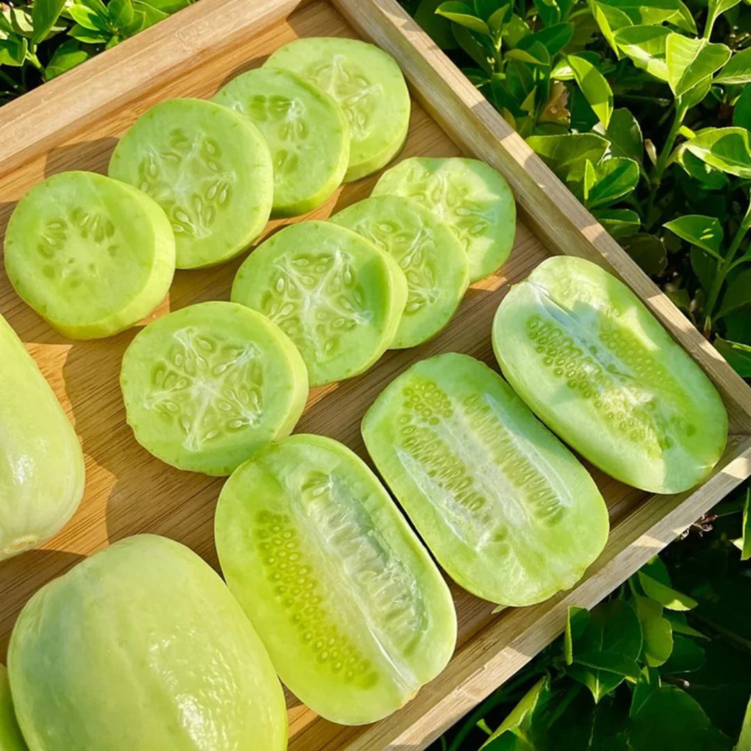 Thumb Cucumber - Jade Lady Cucumber Seeds + Plant Growth Supplement Free