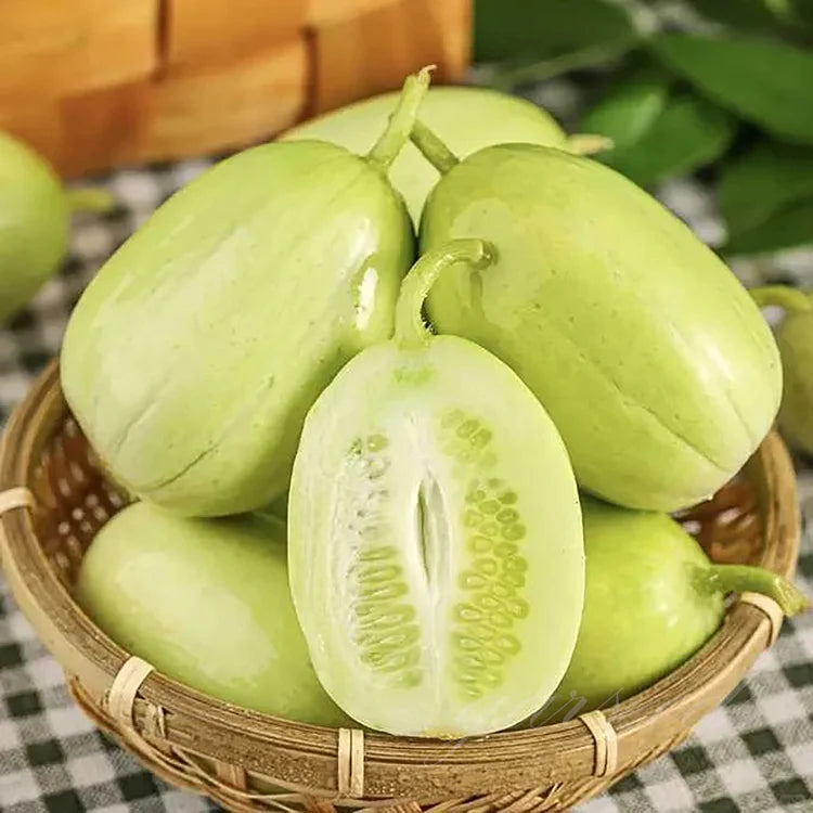 Thumb Cucumber - Jade Lady Cucumber Seeds + Plant Growth Supplement Free