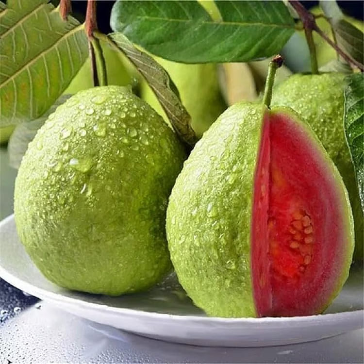 Organic Pink Guava Seeds