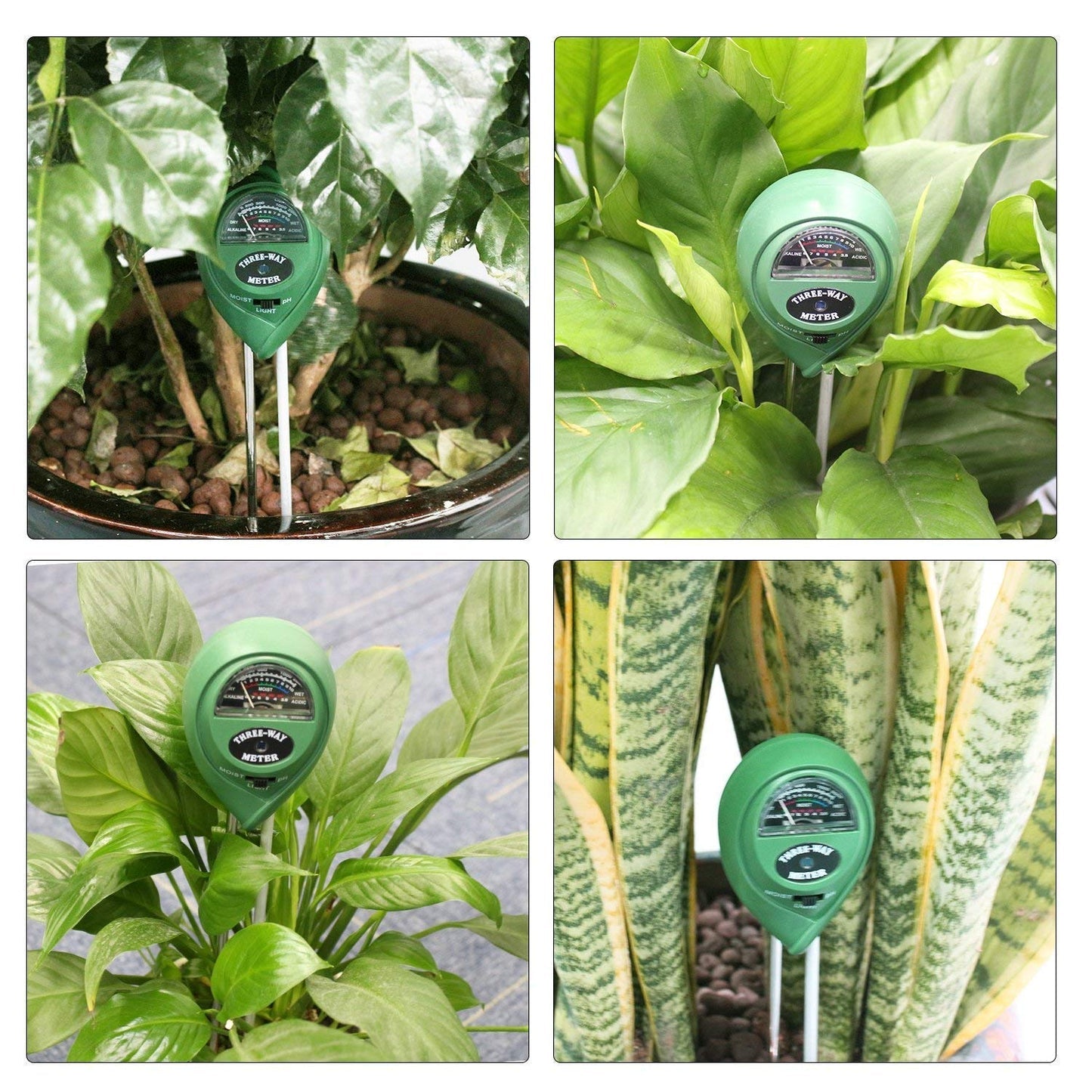 3-In-1 Soil Test Meter