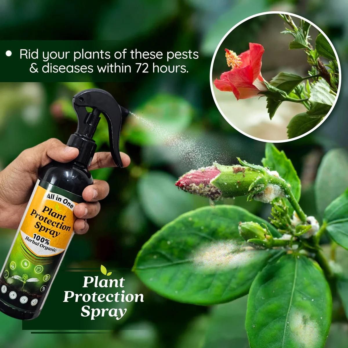 PlantShield - All in One Plant Protection Spray (Buy 1 Get 1 Free)