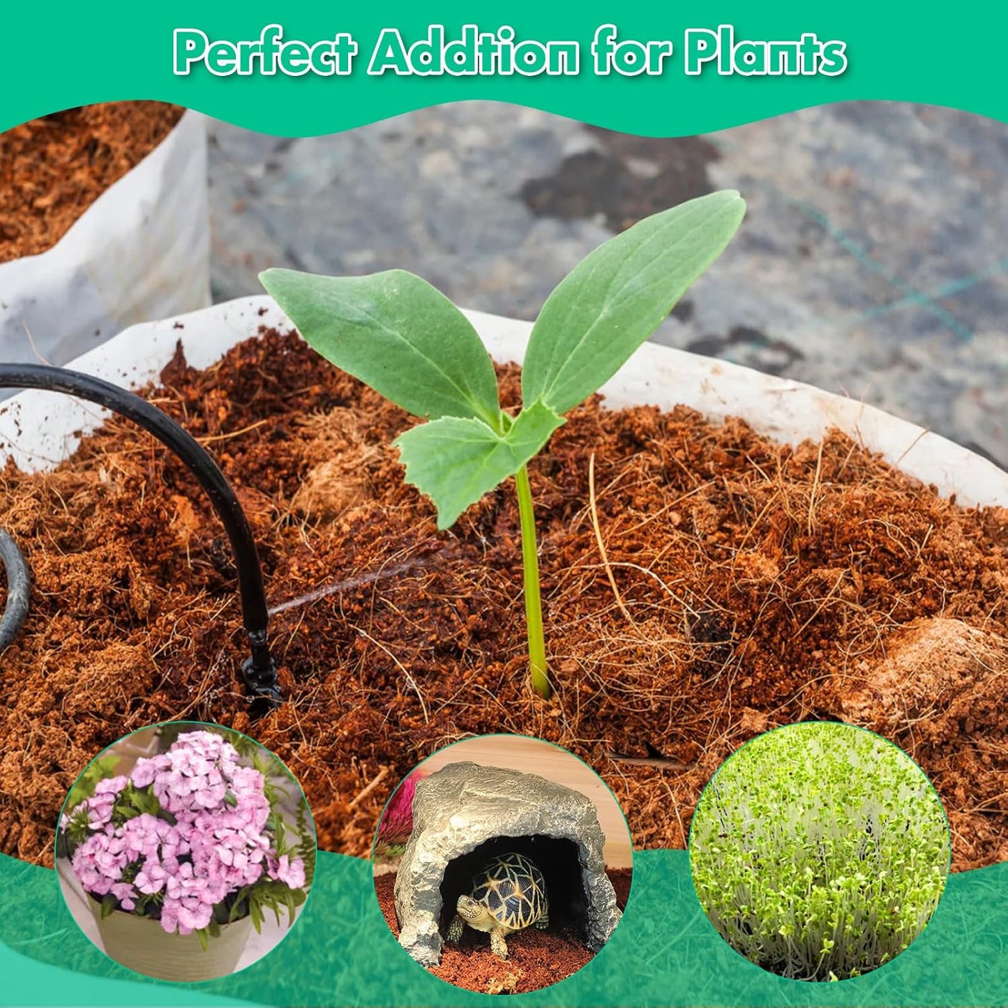 Premium Organic Coconut Coir Bricks (Set of 2) + Plant Growth Booster Free