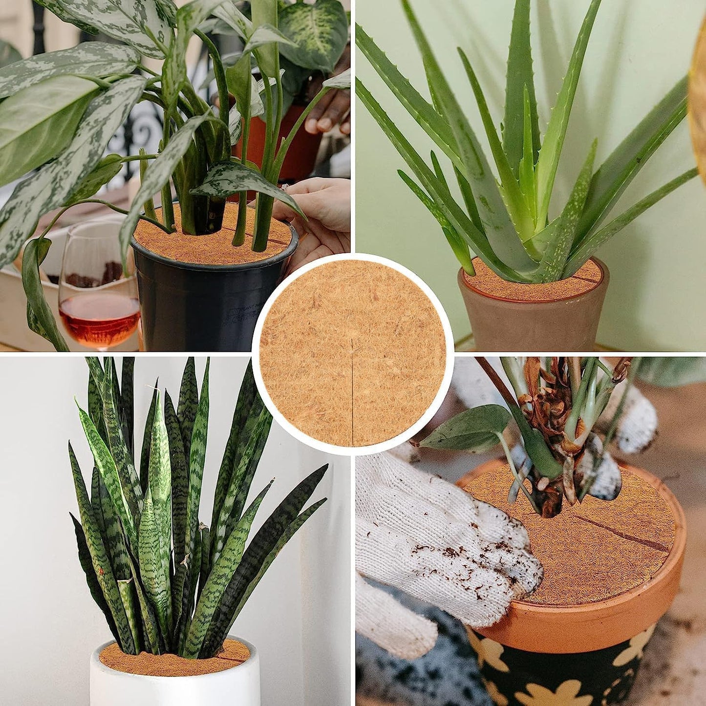 Coconut Fiber Plant Mat (Set of 6)