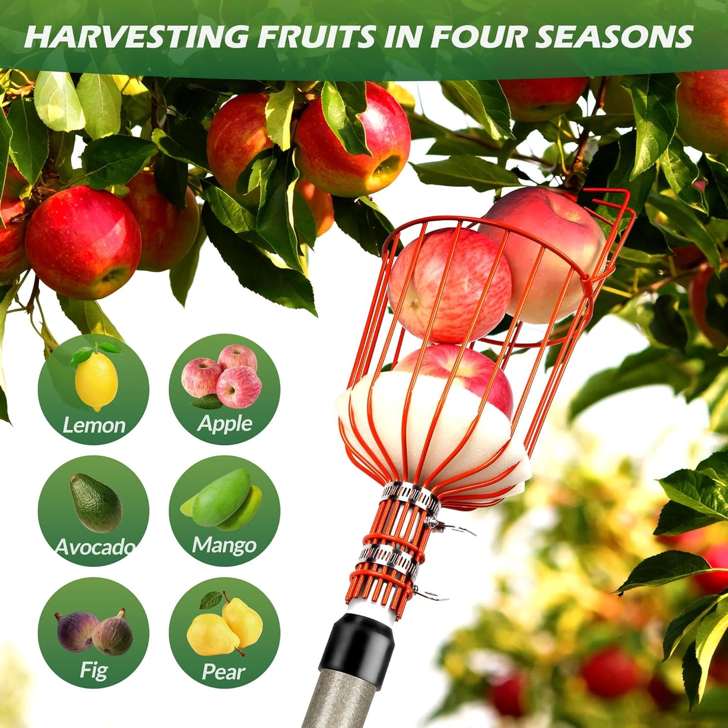 Fruit Catcher Basket