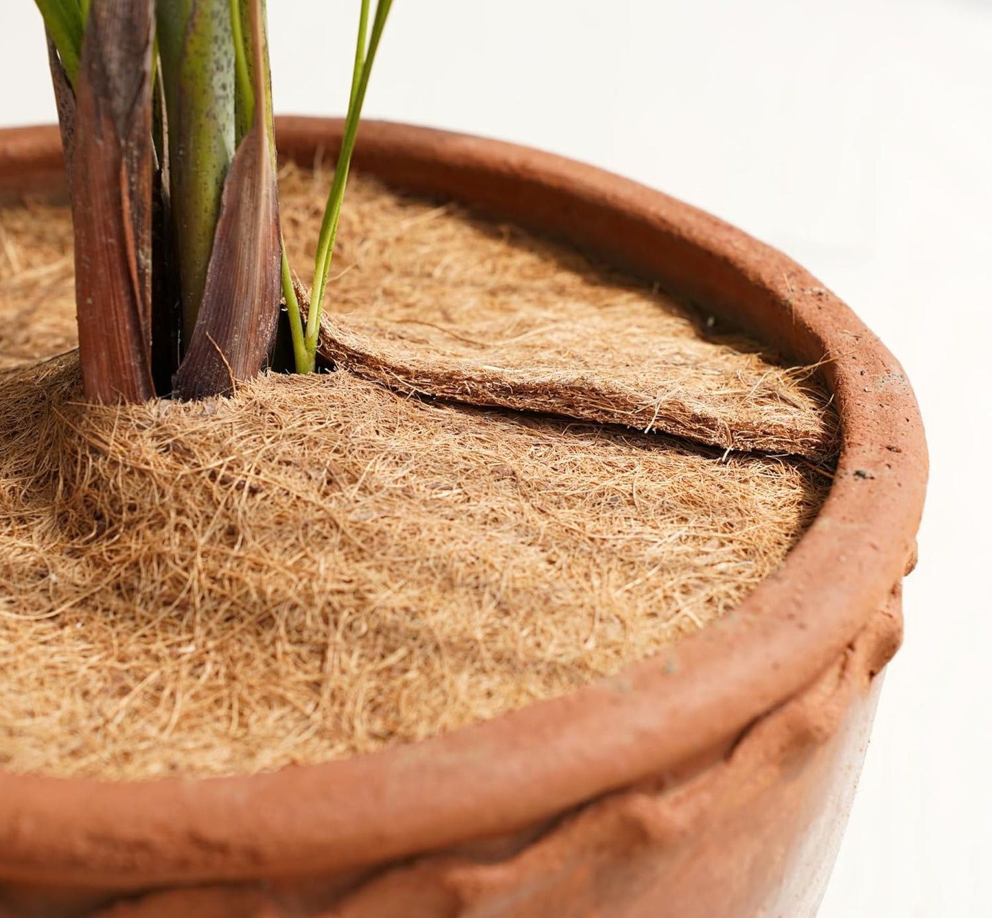 Coconut Fiber Plant Mat (Set of 6)