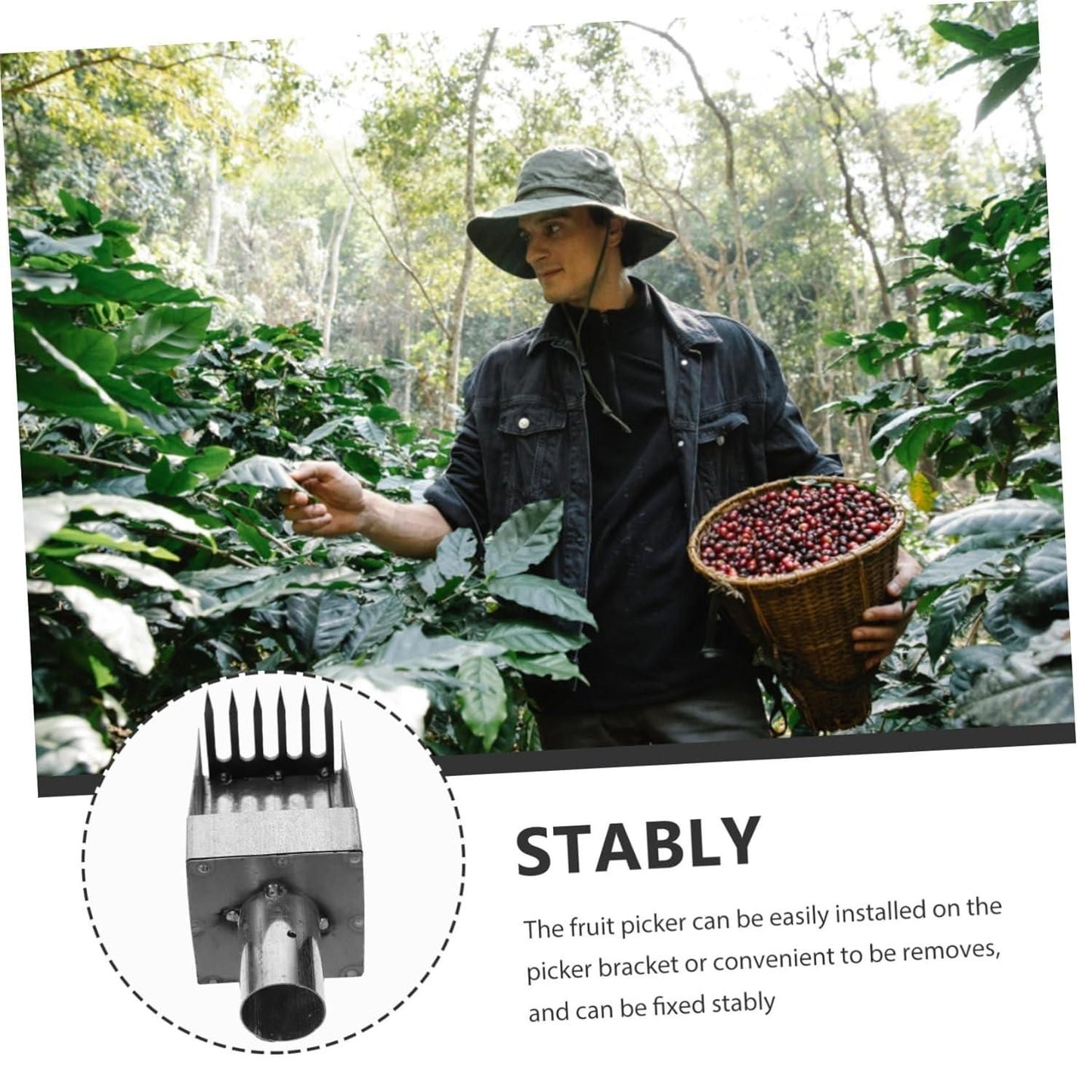 Stainless Steel Steel Fruit Picker Tool