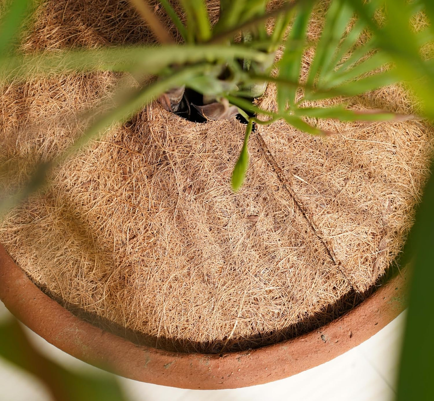 Coconut Fiber Plant Mat (Set of 6)