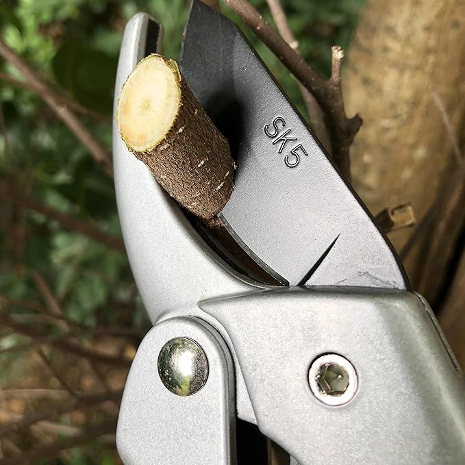 Heavy-Duty Pruning Shears