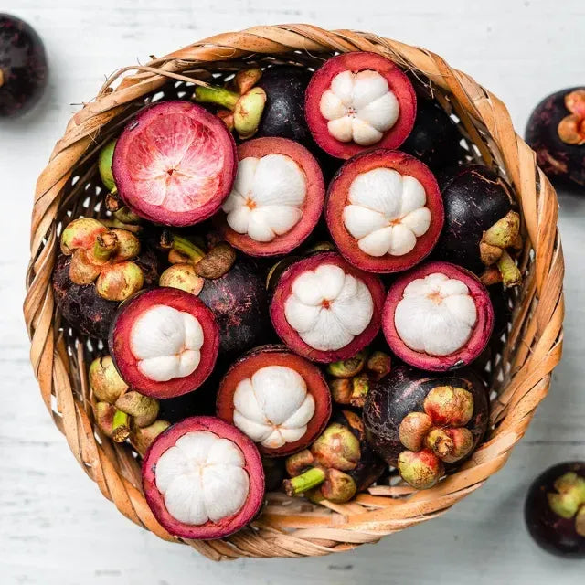 Mangosteen Seeds