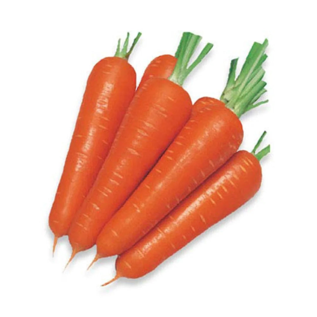 Sweet Carrot Seeds