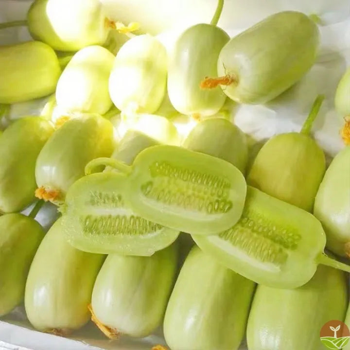 Thumb Cucumber - Jade Lady Cucumber Seeds + Plant Growth Supplement Free