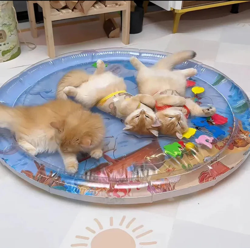Pet Water Sensory Play Mat