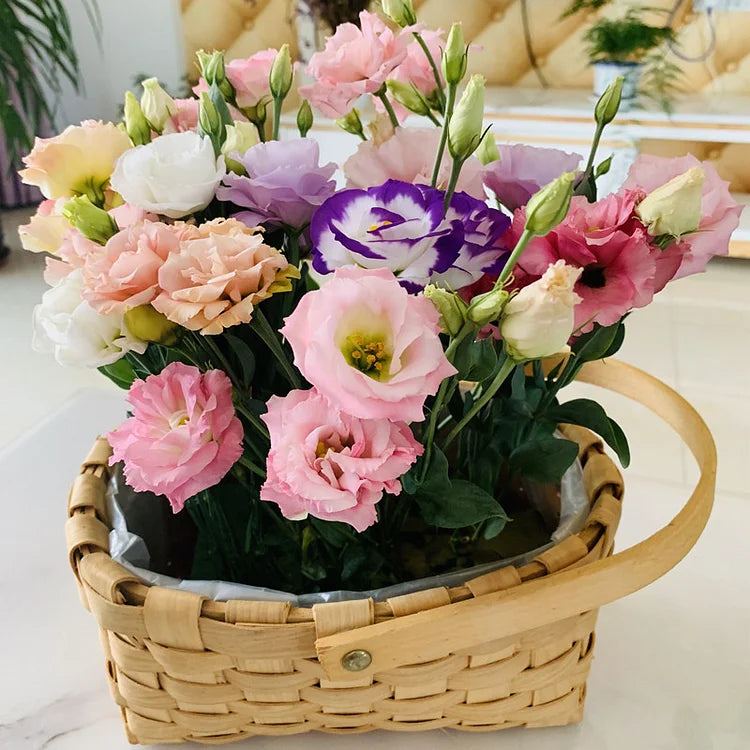 Eustoma Thornless Rose💐Lisianthus Seeds