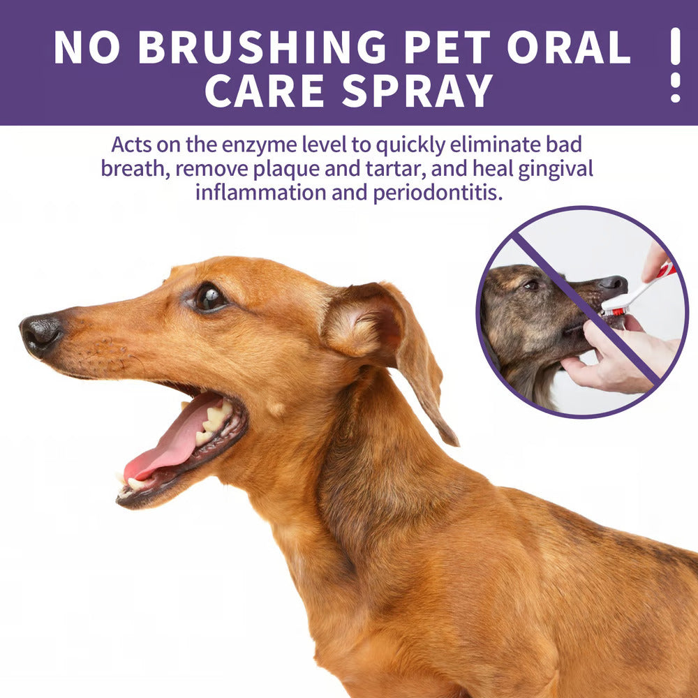 Pets Teeth Cleaning Spray