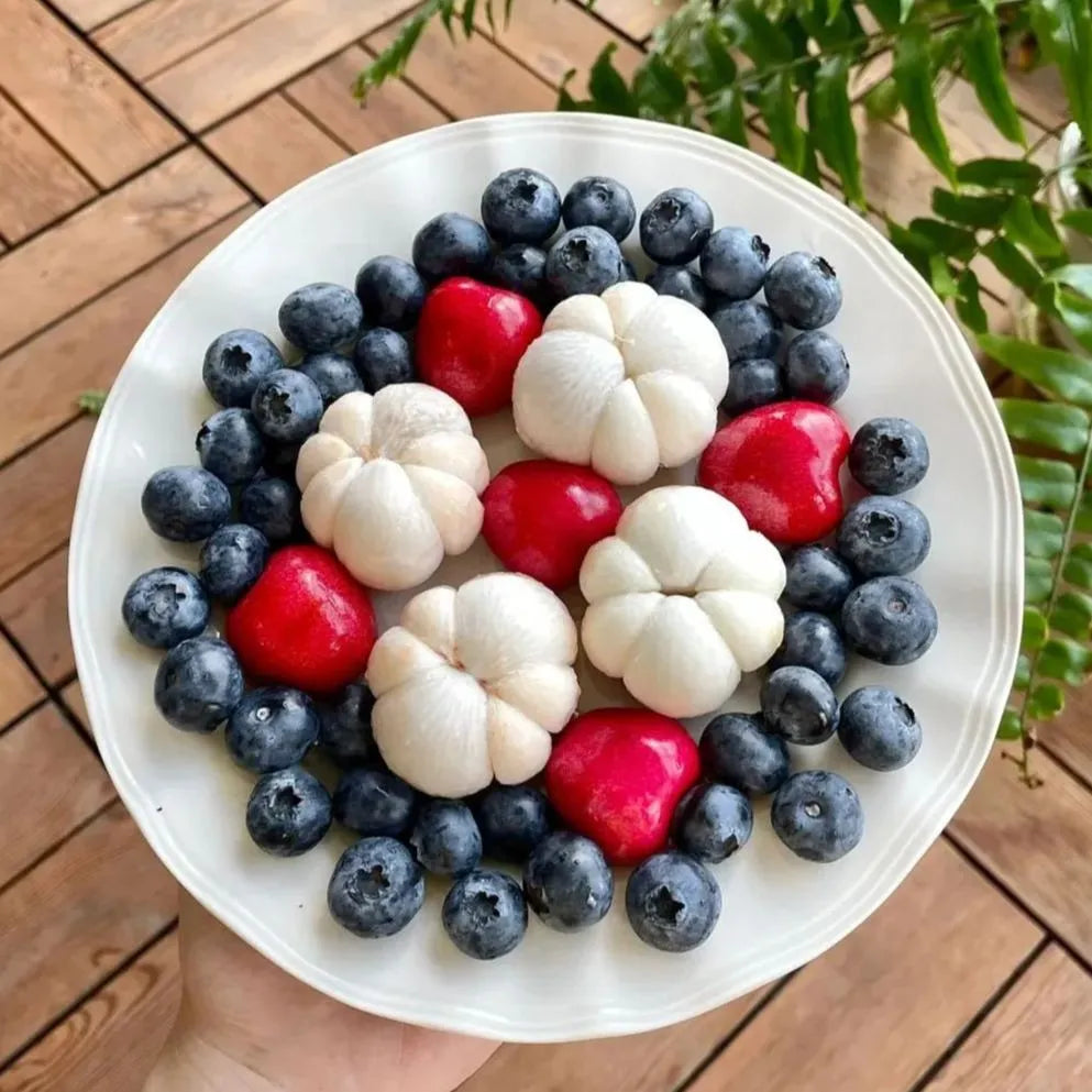 Mangosteen Seeds