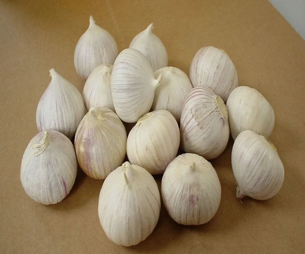 Single Clove Garlic Seeds