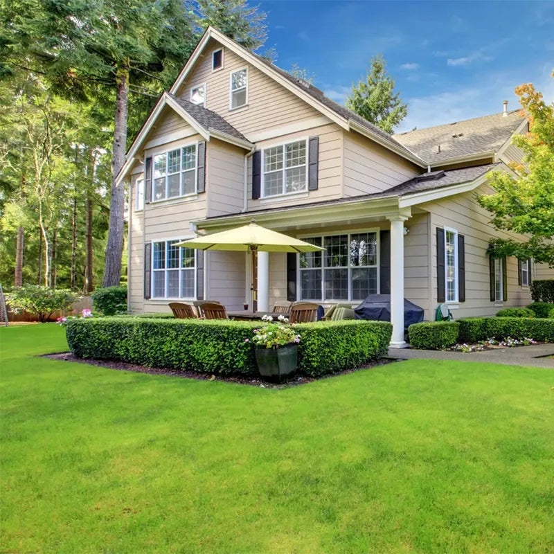 Evergreen Grass Seeds