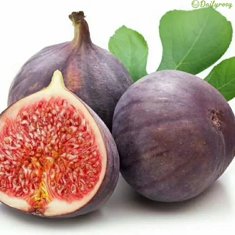 🍑Super Giant Fig Tree Seeds - The Sweetness of a Peach in Every Bite! 🌟