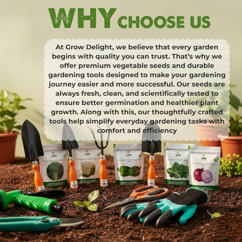 35 Variety Vegetable Seed Kit