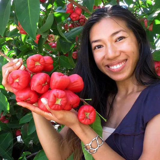 Wax-Apple Fruit Seeds